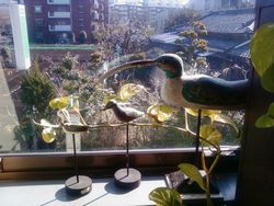画像-0008窓