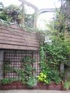 IMG_1502 IMG_1502