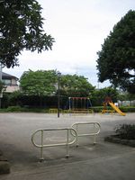 IMG_2324