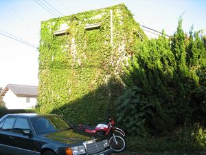 IMG_2647 IMG_2647