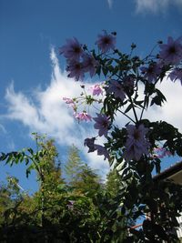 IMG_2691 IMG_2691