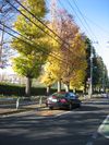 IMG_2761 IMG_2761