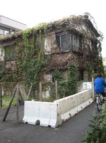 IMG_2618 IMG_2618