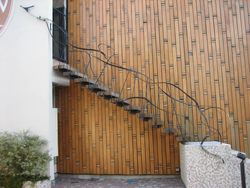 IMG_2736 IMG_2736