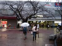 IMG_2868 IMG_2868