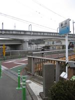 IMG_2942 IMG_2942