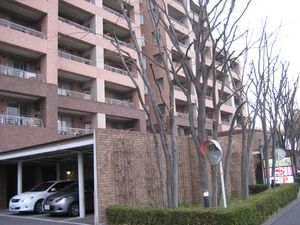 IMG_2796 IMG_2796