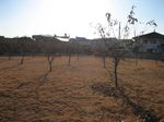 IMG_2814 IMG_2814