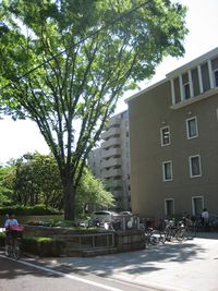 IMG_3156 IMG_3156