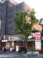 IMG_3182 IMG_3182
