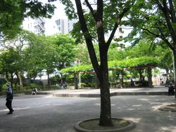 IMG_3238 IMG_3238