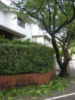 IMG_3434 IMG_3434