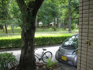 IMG_3445 IMG_3445
