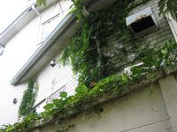 IMG_3451 IMG_3451