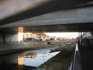 IMG_2901 IMG_2901