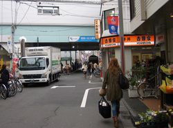 IMG_2979 IMG_2979
