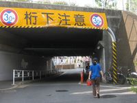 IMG_3305 IMG_3305