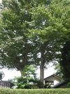 IMG_3459 IMG_3459
