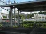 IMG_3261 IMG_3261