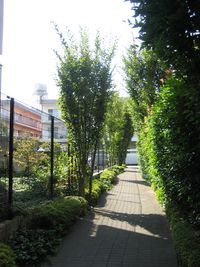 IMG_3496 IMG_3496