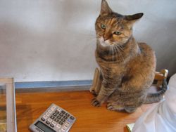 IMG_3511 IMG_3511