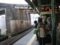 IMG_3731 IMG_3731