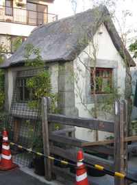 IMG_3715 IMG_3715