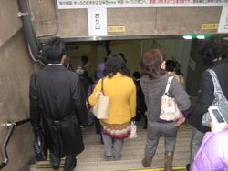 IMG_3775 IMG_3775