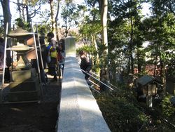 IMG_3863 IMG_3863