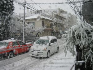 IMG_3891 IMG_3891