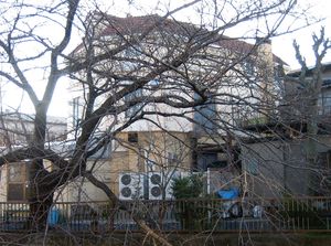 IMG_3973 IMG_3973