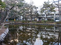 IMG_3984 IMG_3984
