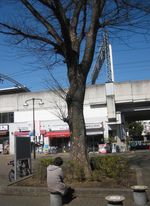 IMG_4059