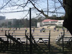IMG_4084 IMG_4084