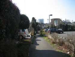 IMG_4088 IMG_4088