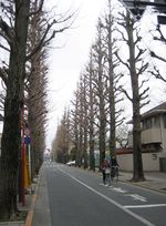 IMG_4124 IMG_4124