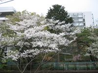 IMG_4135