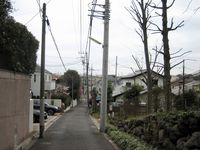 IMG_4140 IMG_4140