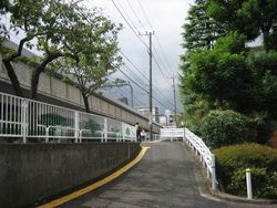 IMG_3563 IMG_3563