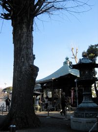 IMG_3864 IMG_3864