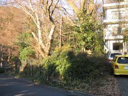 IMG_3837 IMG_3837