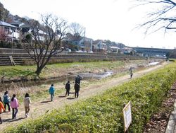 IMG_4063 IMG_4063