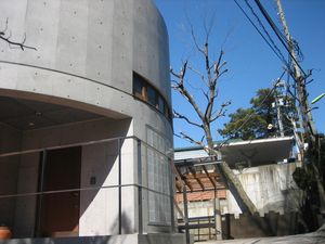 IMG_4068 IMG_4068