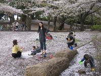 IMG_4154 IMG_4154