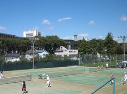 IMG_3599 IMG_3599