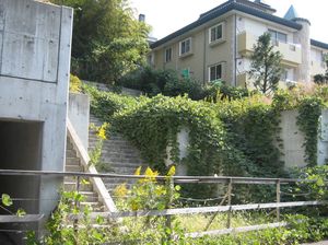 IMG_3665 IMG_3665