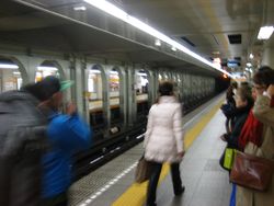 IMG_3789 IMG_3789
