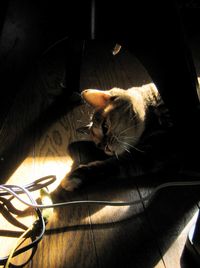 IMG_3908 IMG_3908