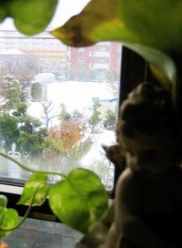 IMG_4036 IMG_4036