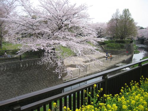 IMG_4156 IMG_4156